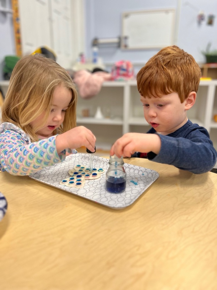Two Atlas toddlers using droppers to fill a color tray